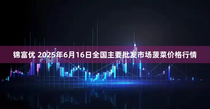 锦富优 2025年6月16日全国主要批发市场菠菜价格行情