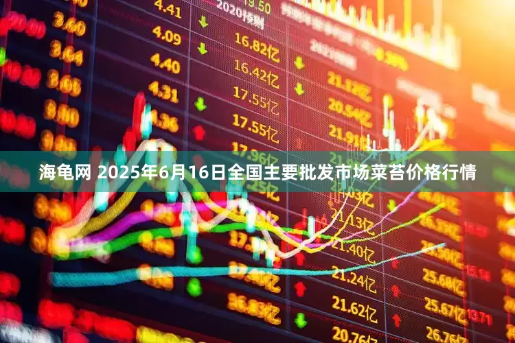 海龟网 2025年6月16日全国主要批发市场菜苔价格行情