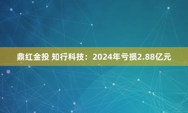 鼎红金投 知行科技：2024年亏损2.88亿元