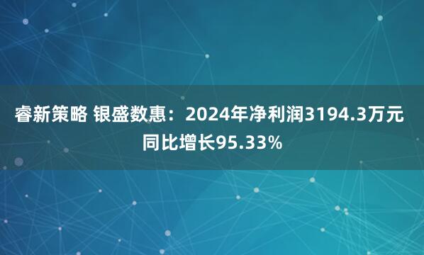 睿新策略 银盛数惠：2024年净利润3194.3万元 同比增长95.33%