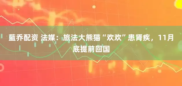 蓝乔配资 法媒：旅法大熊猫“欢欢”患肾疾，11月底提前回国